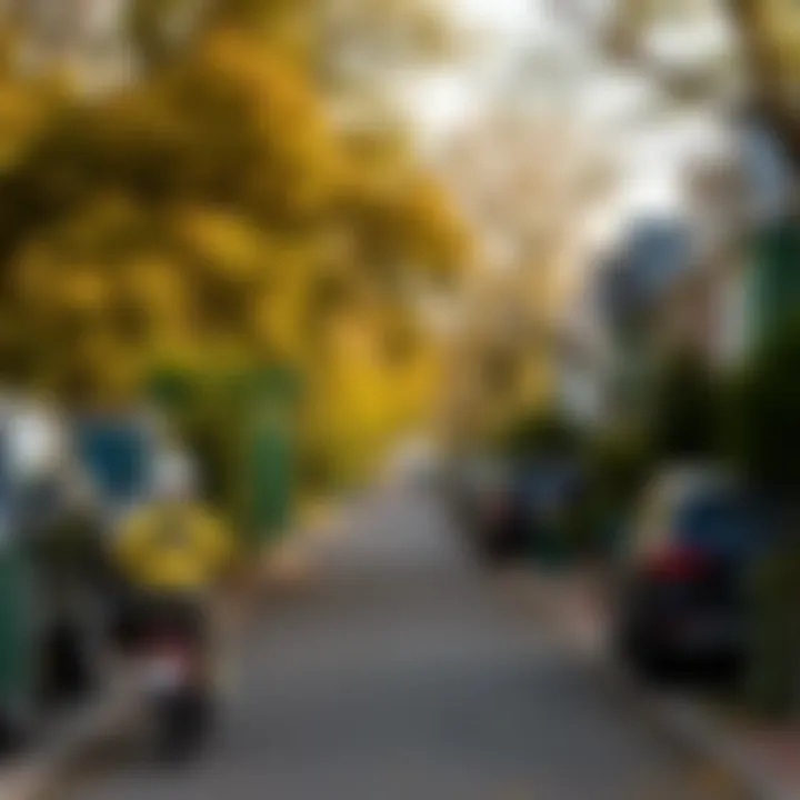 Peaceful Residential Street in Glover Park A peaceful residential street lined with single-family homes