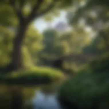 Serene Central Park Oasis A serene park in Central Park, perfect for relaxation and nature lovers