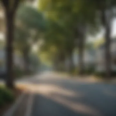 A serene street view in a safe Atlanta neighborhood showcasing trees and well-maintained homes.