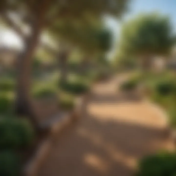 Vibrant community park in Sonterra with unique sculptures and greenery