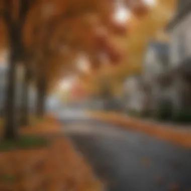 Scenic view of a suburban neighborhood during autumn