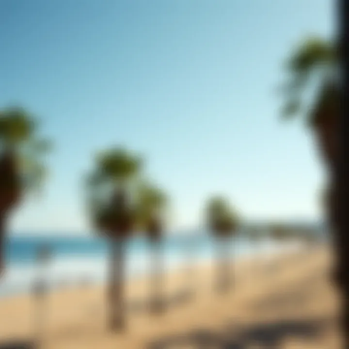 The scenic coastline of Santa Monica Beach with palm trees