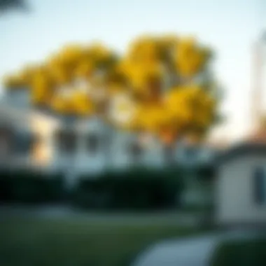 Community Atmosphere for Renters A serene neighborhood representing a rental community