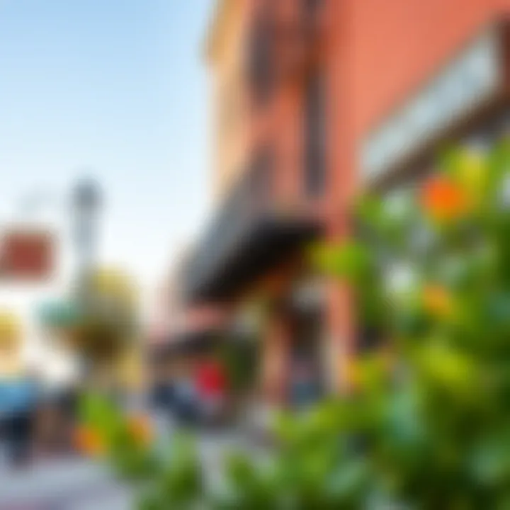 Vibrant street scene showcasing local shops and cafes in Bishop Arts