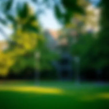 Local park and community space in Queen Anne