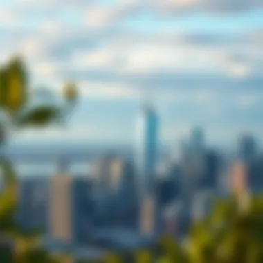 Stunning skyline view of a major US city showcasing urban real estate