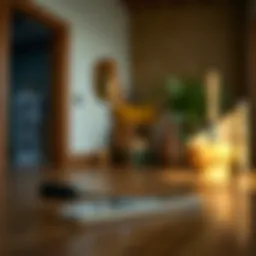 Tools for wax removal from hardwood floors