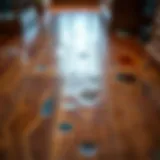 Types of Stains on Hardwood Floors Close-up view of a stained hardwood floor showing various types of marks