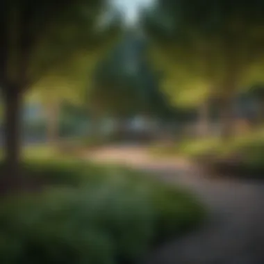 Urban Park for Relaxation and Leisure Green park area where young professionals relax and socialize