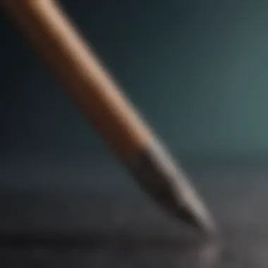 Ceramic Rod for Precision Sharpening Ceramic sharpening rod with a polished blade