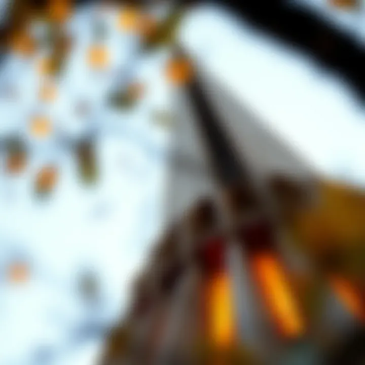 Intricate Details of the Spire A close-up view of the intricate details of a spire, reflecting the harmony between design and nature