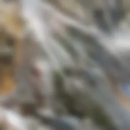 Architectural details of La Brea and Wilshire apartments