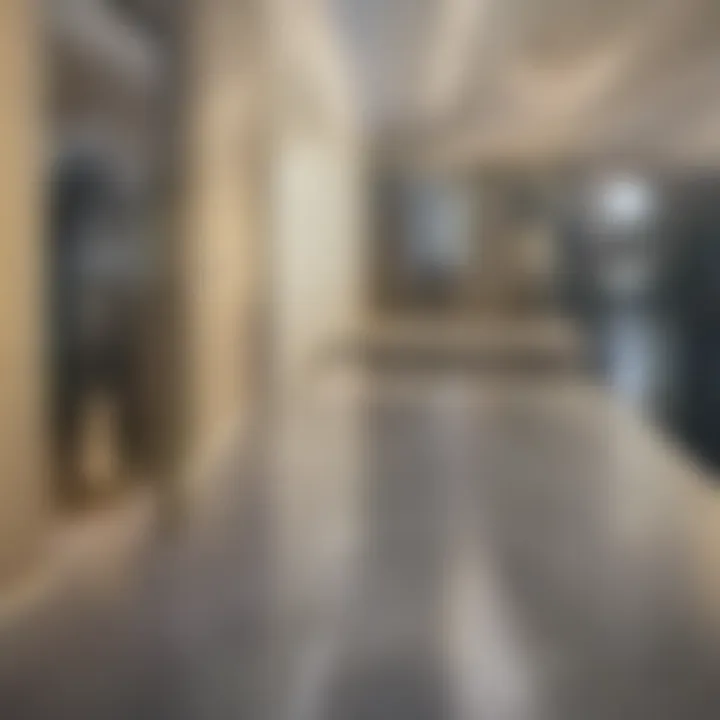 Luxurious interior design of an apartment within City View Terrace