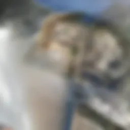 Stunning exterior view of Malibu Playa Vista Apartments showcasing modern architecture