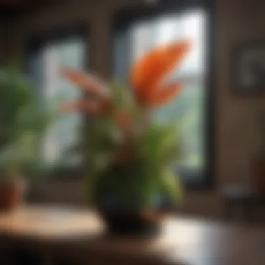 A vibrant indoor plant enhancing a clean home atmosphere