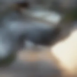 Visual representation of REO properties