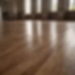 Shining hardwood floor after cleaning