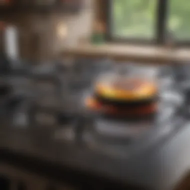 Preventative care tips for maintaining stove tops