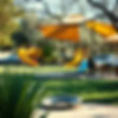 Nature's Playground: Local Park by the Lake Vibrant local park near White Rock Lake