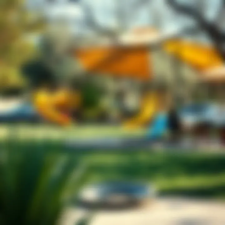 Nature's Playground: Local Park by the Lake Vibrant local park near White Rock Lake