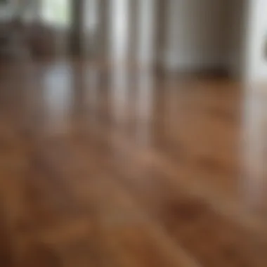 Preventative measures for maintaining hardwood floors