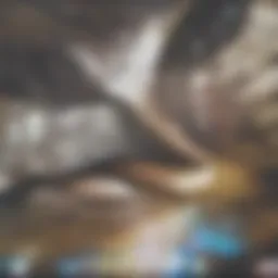 A vibrant hardwood floor before and after revitalization