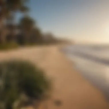 View of Santa Barbara beach from a rental property