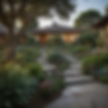 Lush Landscaping Enhancing Residential Beauty A beautifully landscaped garden surrounding a San Mateo Park home
