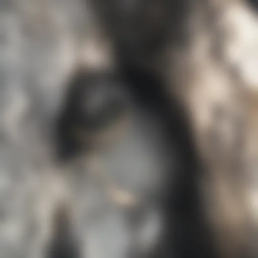 Illustration of a clogged sink with visible debris