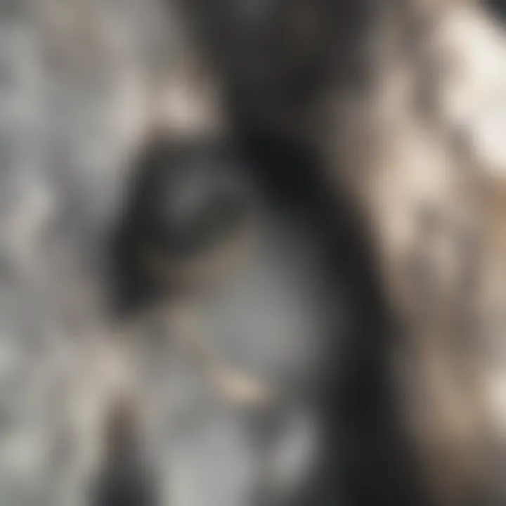 Illustration of a clogged sink with visible debris