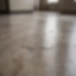 Close-up of a sparkling clean laminate floor reflecting light