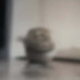 Overview of California tenant rights legislation