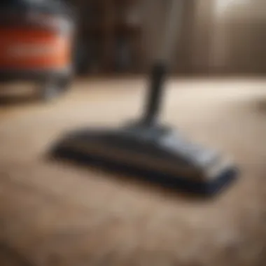 Cleaning tools for maintaining rugs