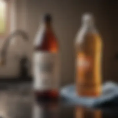 Vinegar as a Powerful Cleaning Agent Vinegar bottle with cleaning cloth