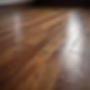 Different types of stains affecting wood flooring