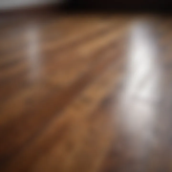 Different types of stains affecting wood flooring