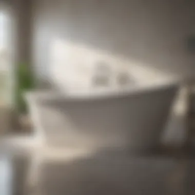 Common Causes of Bathtub Backups Visual representation of common bathtub blockage causes
