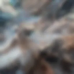 Conceptual representation of equity in finance