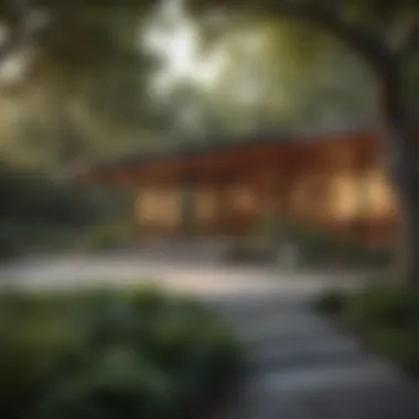 An outdoor space harmoniously blending with nature, reflecting mid-century modern principles