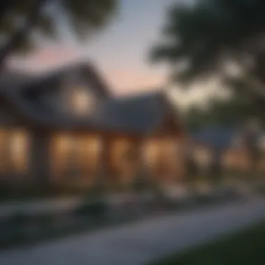 Diverse Housing Options in Texas A picturesque Texas neighborhood showcasing diverse housing options