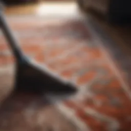 Close-up of an area rug being cleaned