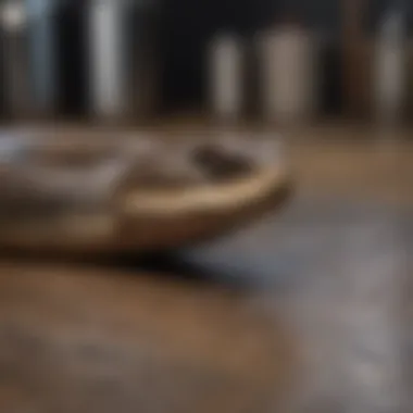 Snake Tip Engaging Clog Close-up of a snake tip engaging with a clog