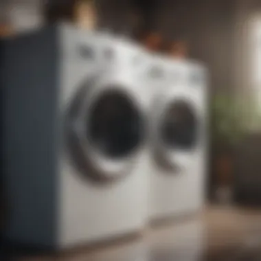 DIY Techniques for Effective Washer Maintenance DIY washer cleaning techniques