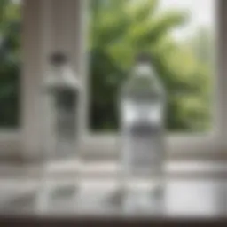 A bottle of white vinegar next to a window showing streak-free shine