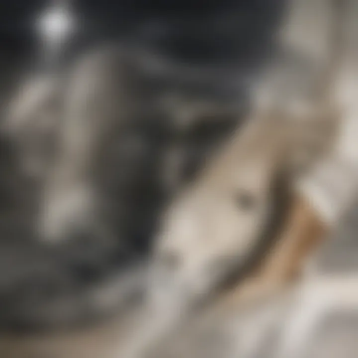 Professional cleaning service for dryer vents